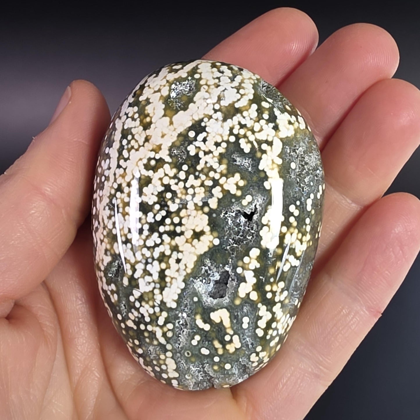 Orbicular Ocean Jasper Palm Stone