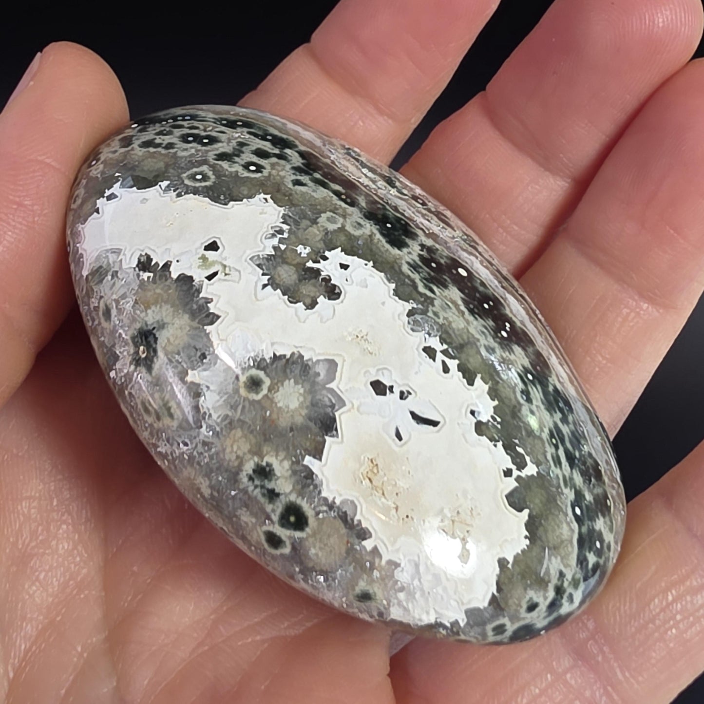 Orbicular Ocean Jasper Palm Stone