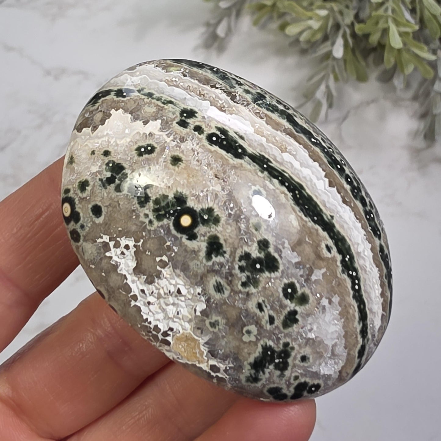 Orbicular Ocean Jasper Palm Stone