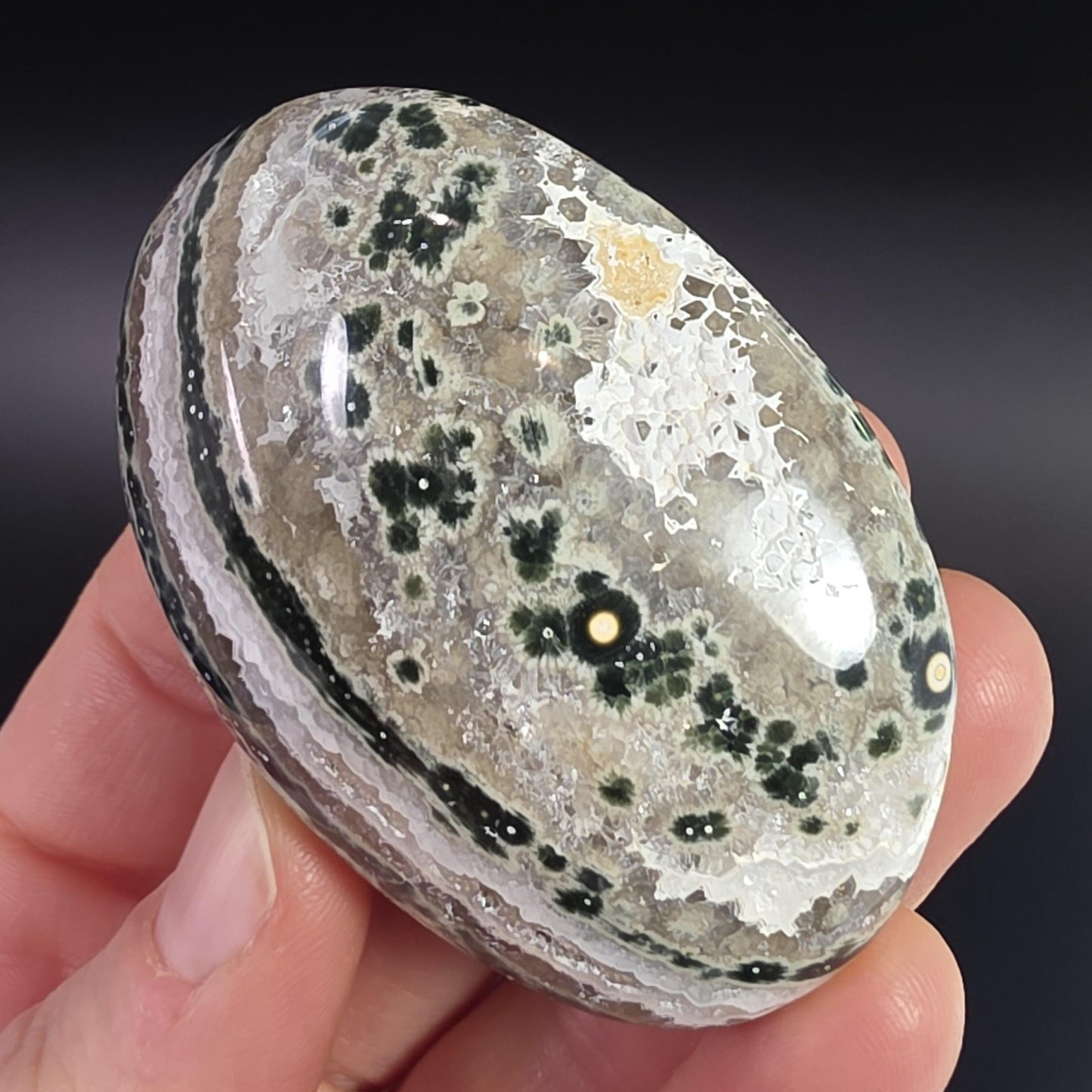 Orbicular Ocean Jasper Palm Stone