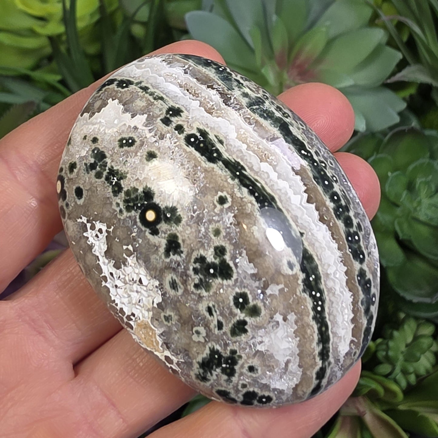 Orbicular Ocean Jasper Palm Stone