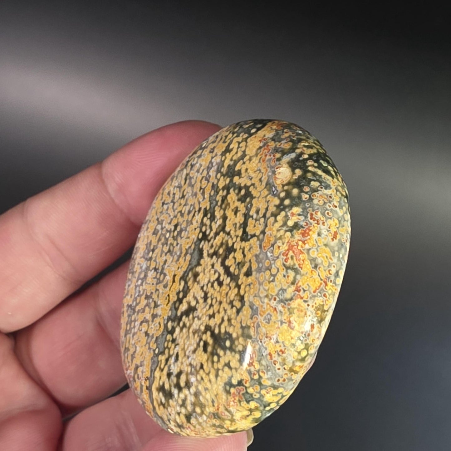 Orbicular Ocean Jasper Palm Stone