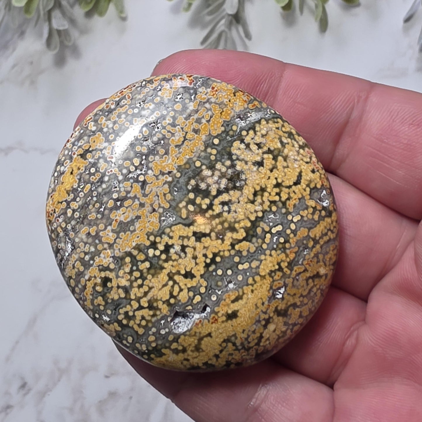 Orbicular Ocean Jasper Palm Stone