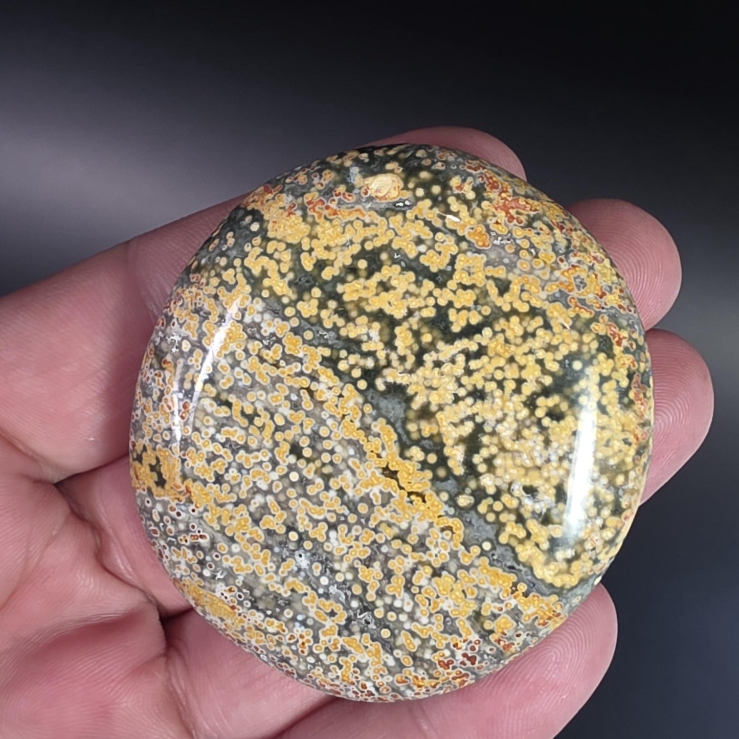 Orbicular Ocean Jasper Palm Stone