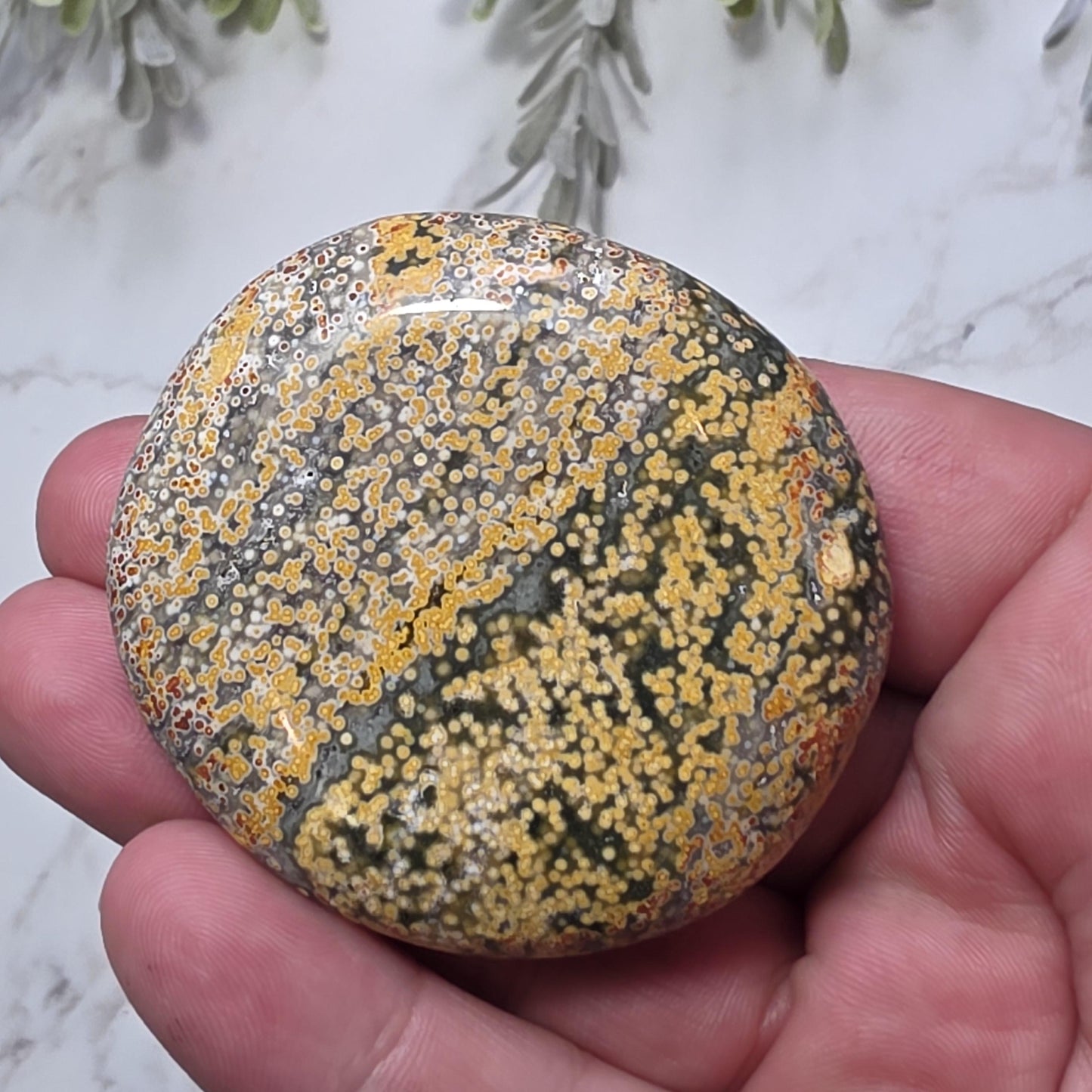 Orbicular Ocean Jasper Palm Stone