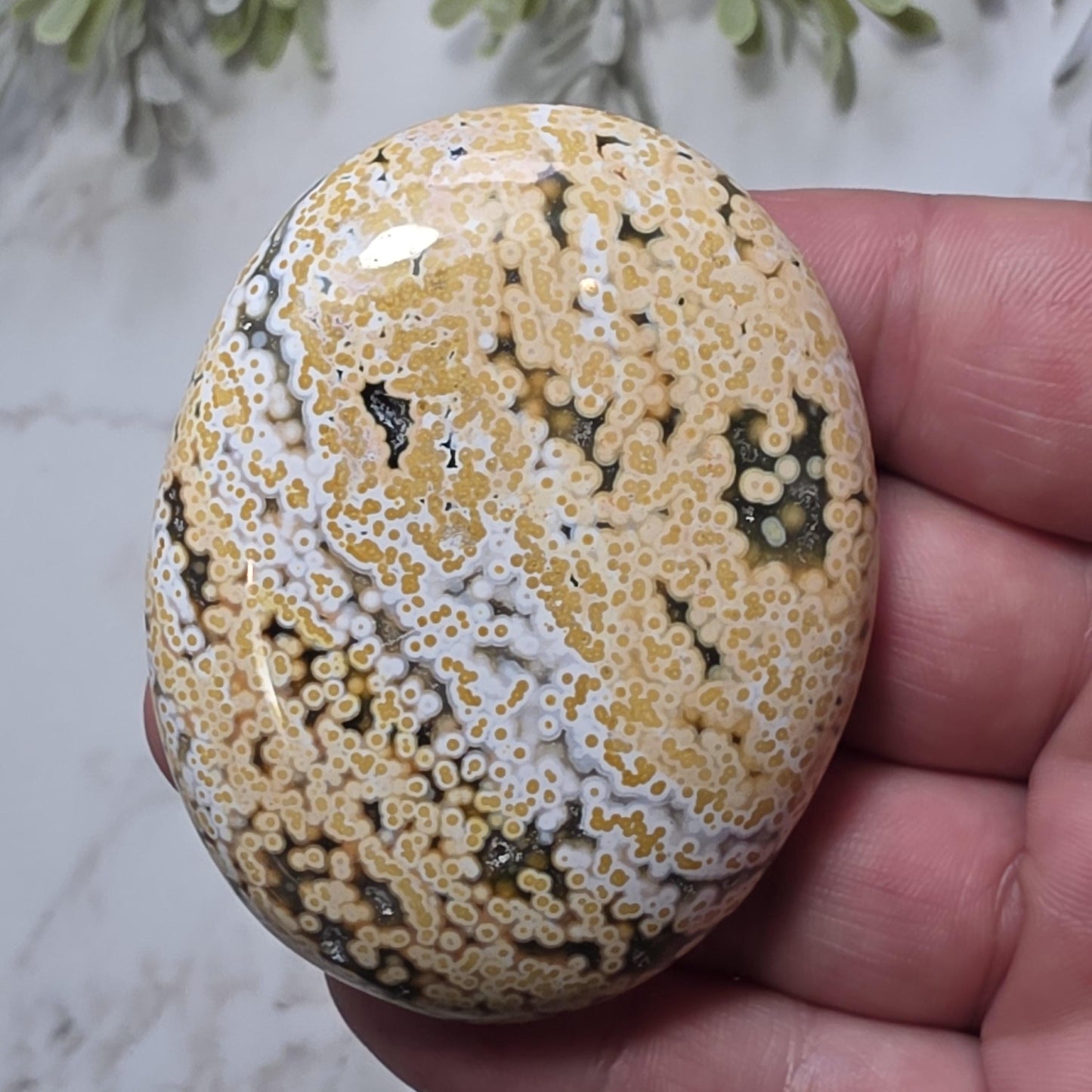 Orbicular Ocean Jasper Palm Stone