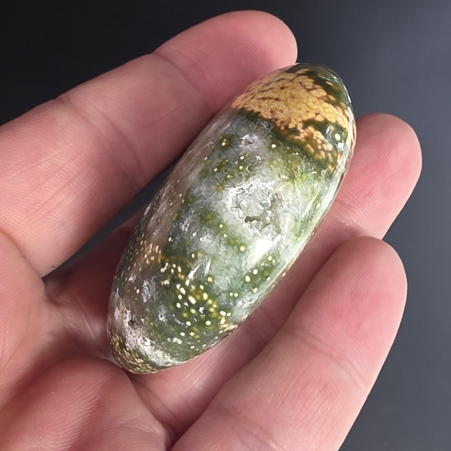 Orbicular Ocean Jasper Palm Stone