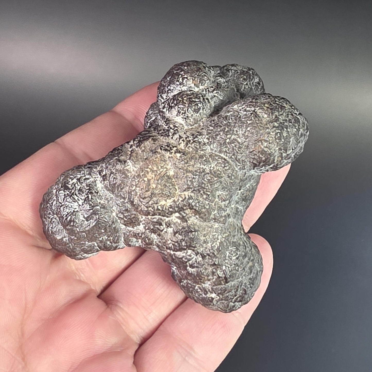 Prophecy Stone Specimen