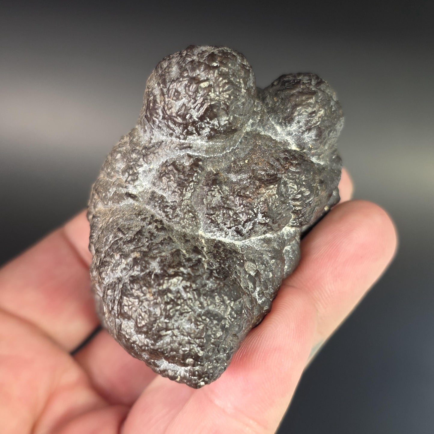 Prophecy Stone Specimen