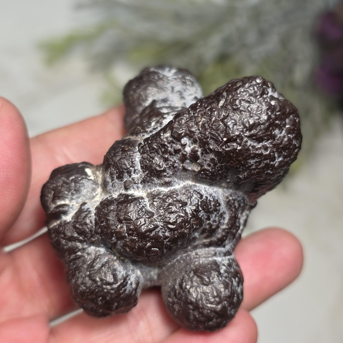 Prophecy Stone Specimen