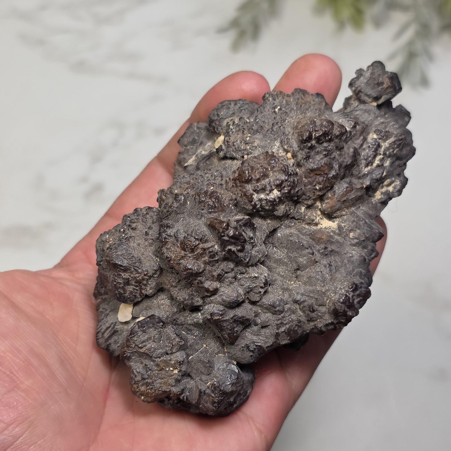 Sculptural Prophecy Stone Specimen