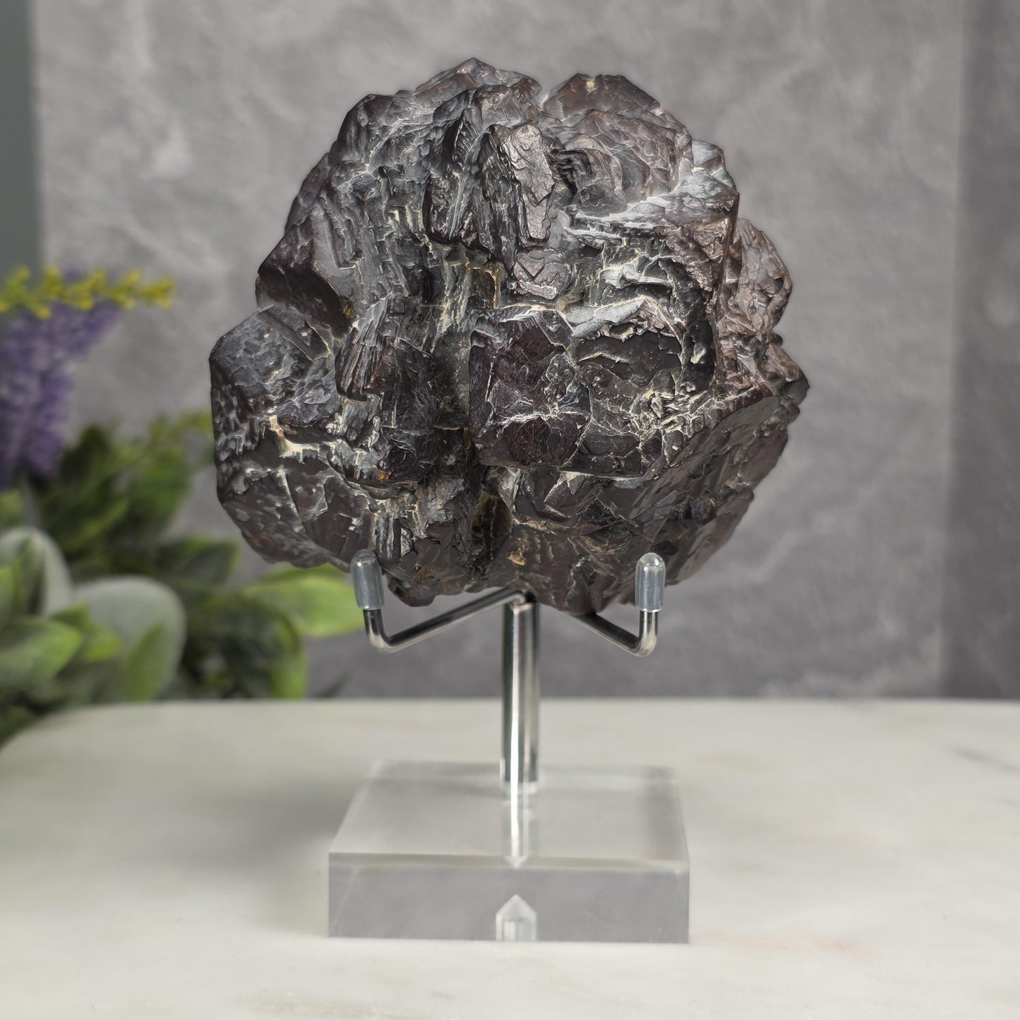 755g Prophecy Stone Specimen