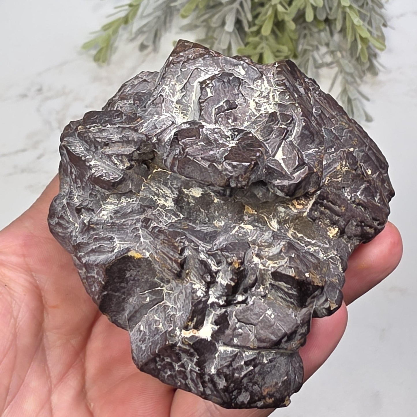 755g Prophecy Stone Specimen
