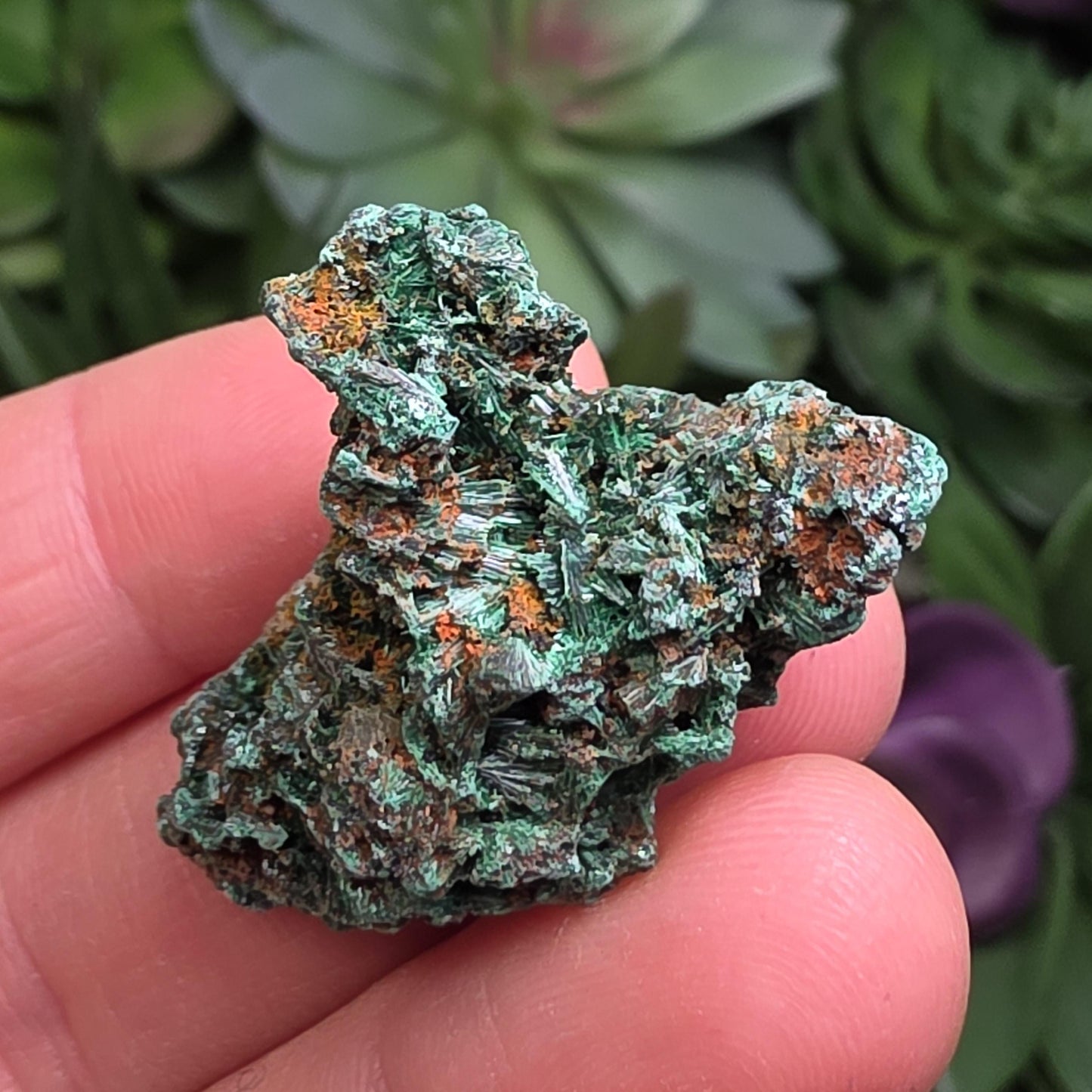 Fibrous Malachite
