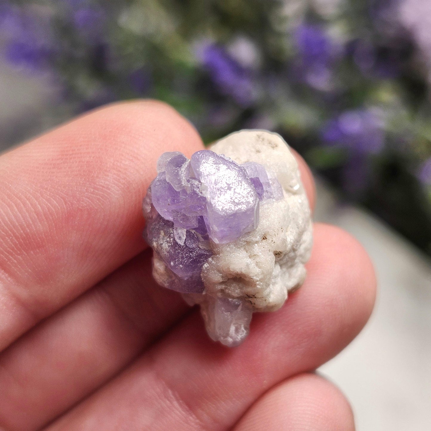 Purple Apatite
