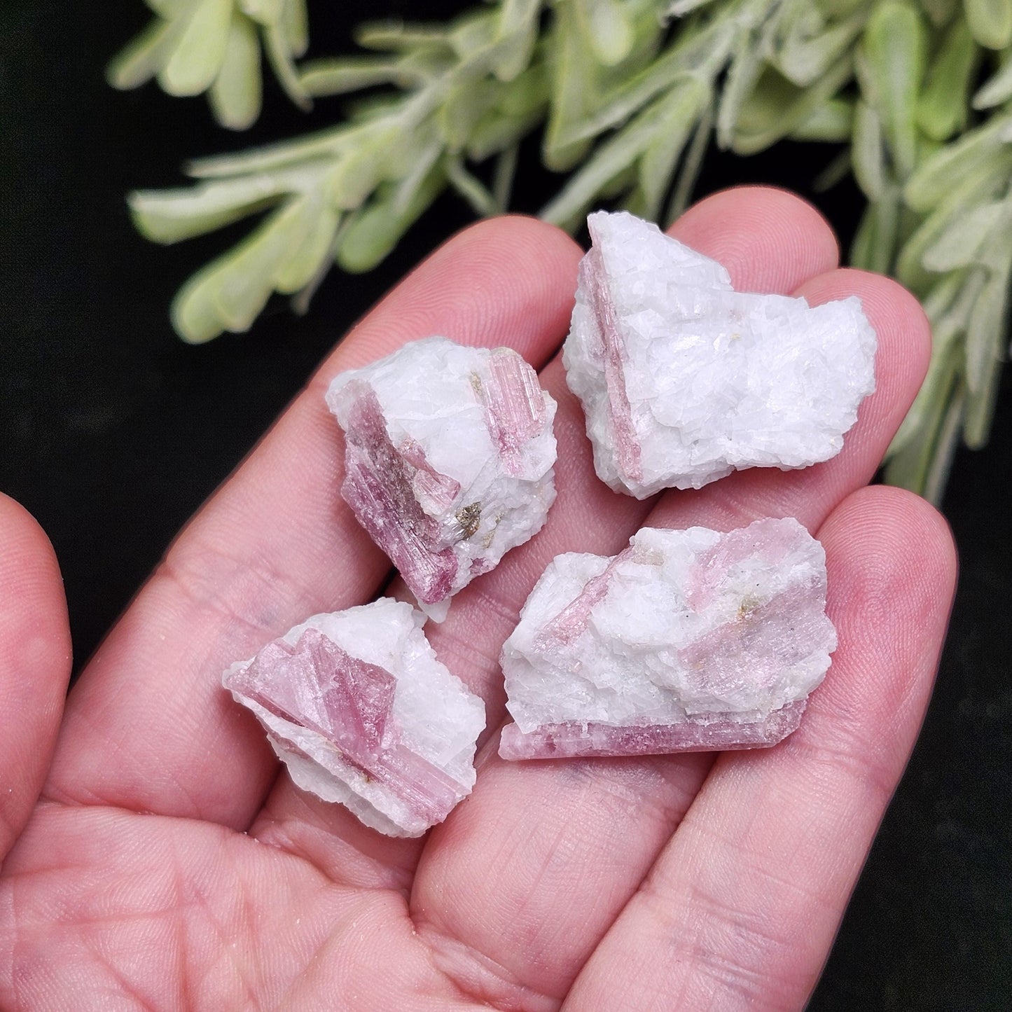 Pink Tourmaline in Quartz