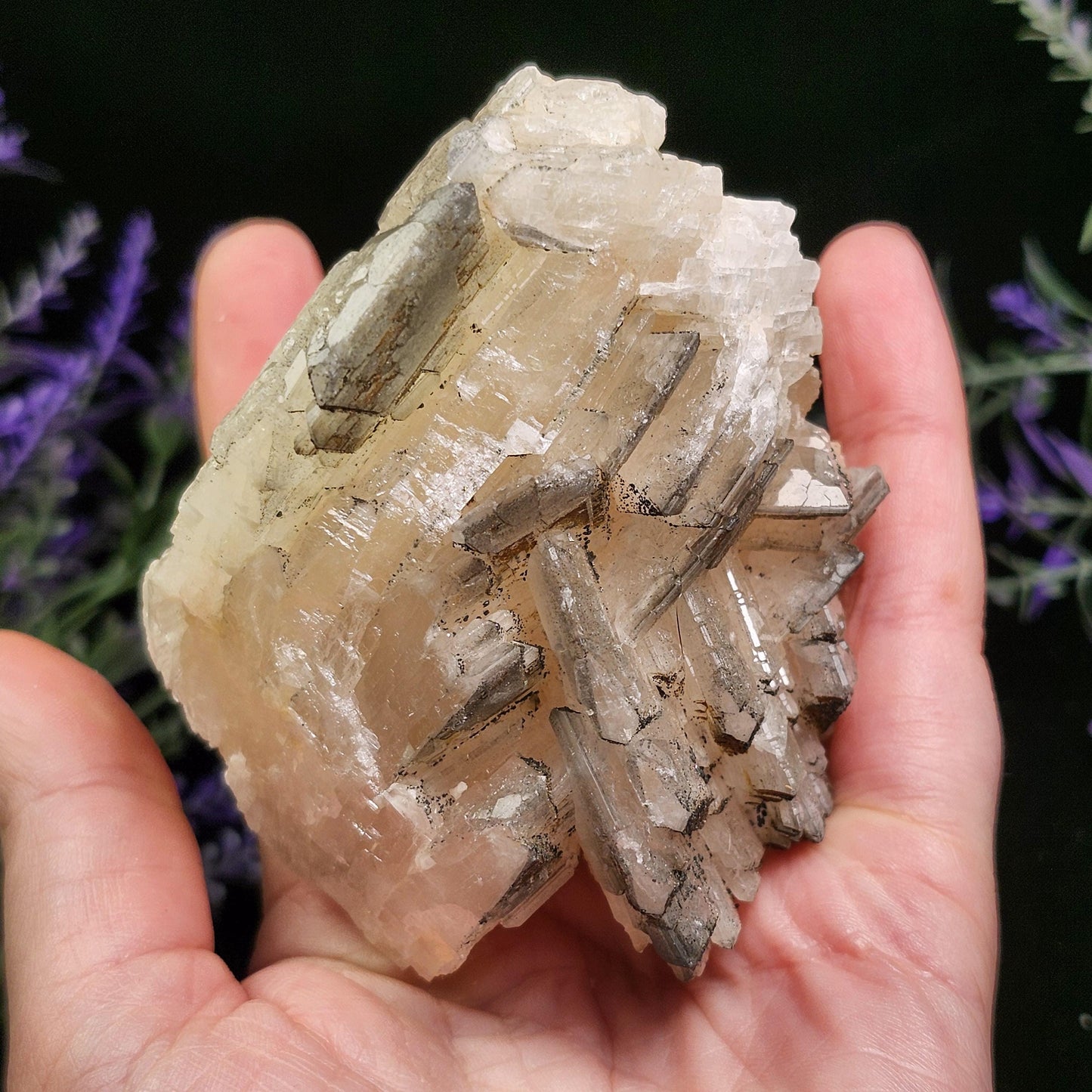 Tabular Black Barite with Marcasite
