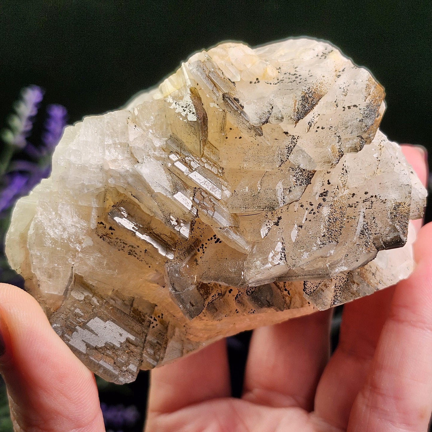 Tabular Black Barite with Marcasite