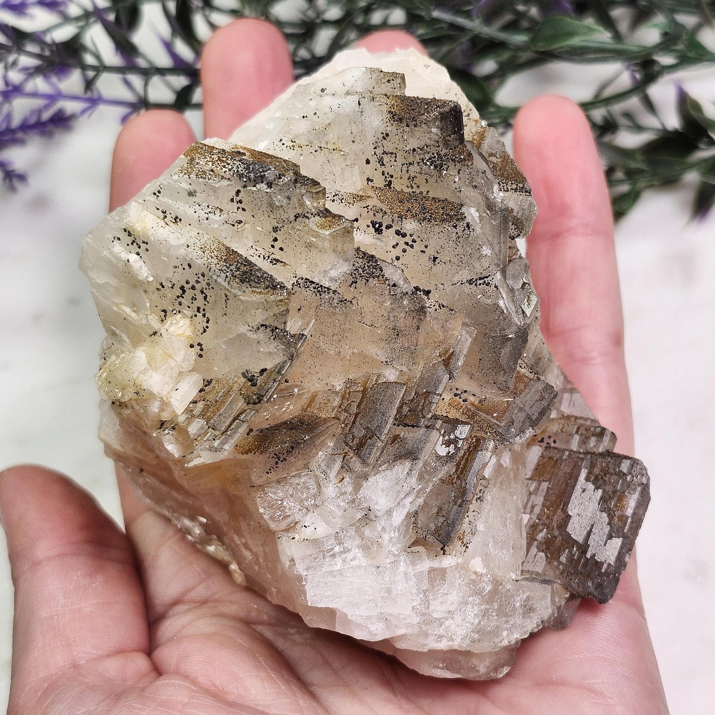 Tabular Black Barite with Marcasite