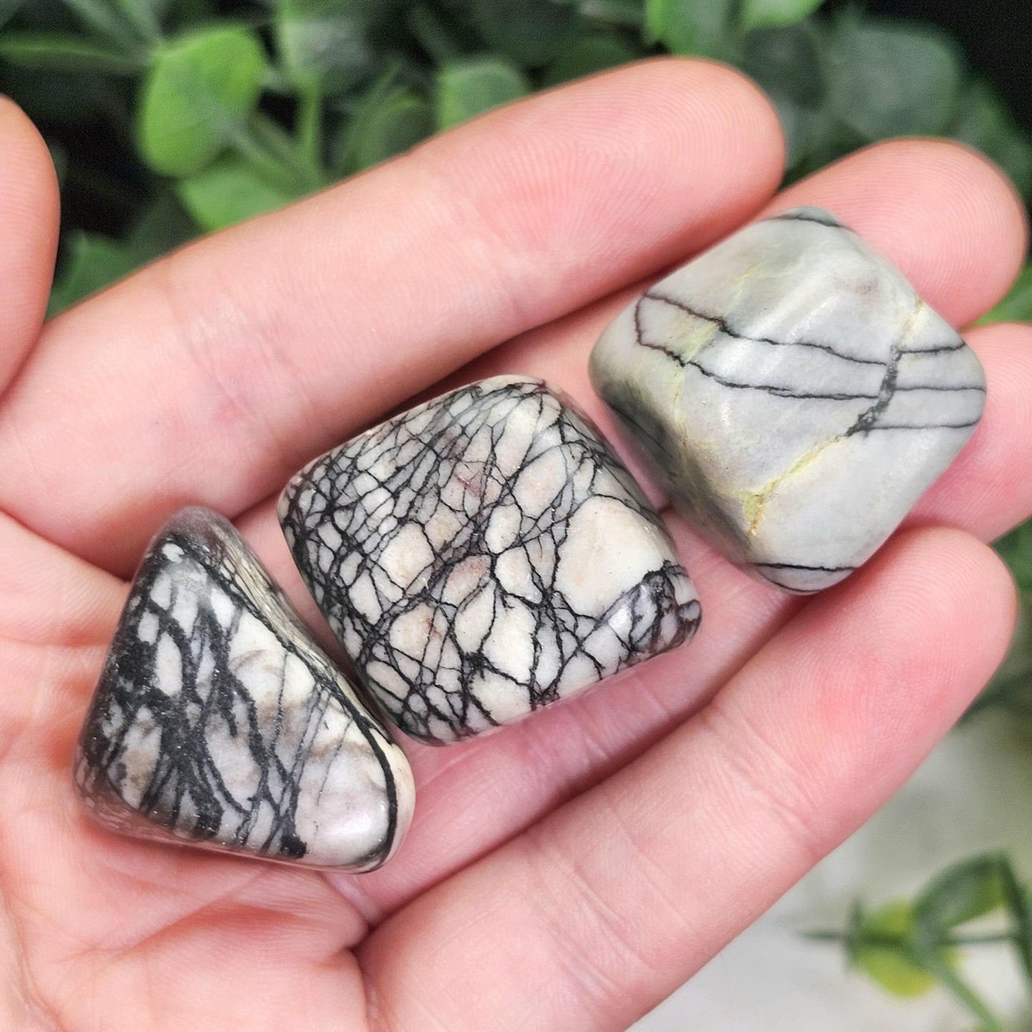 Spider Web Jasper Crystal