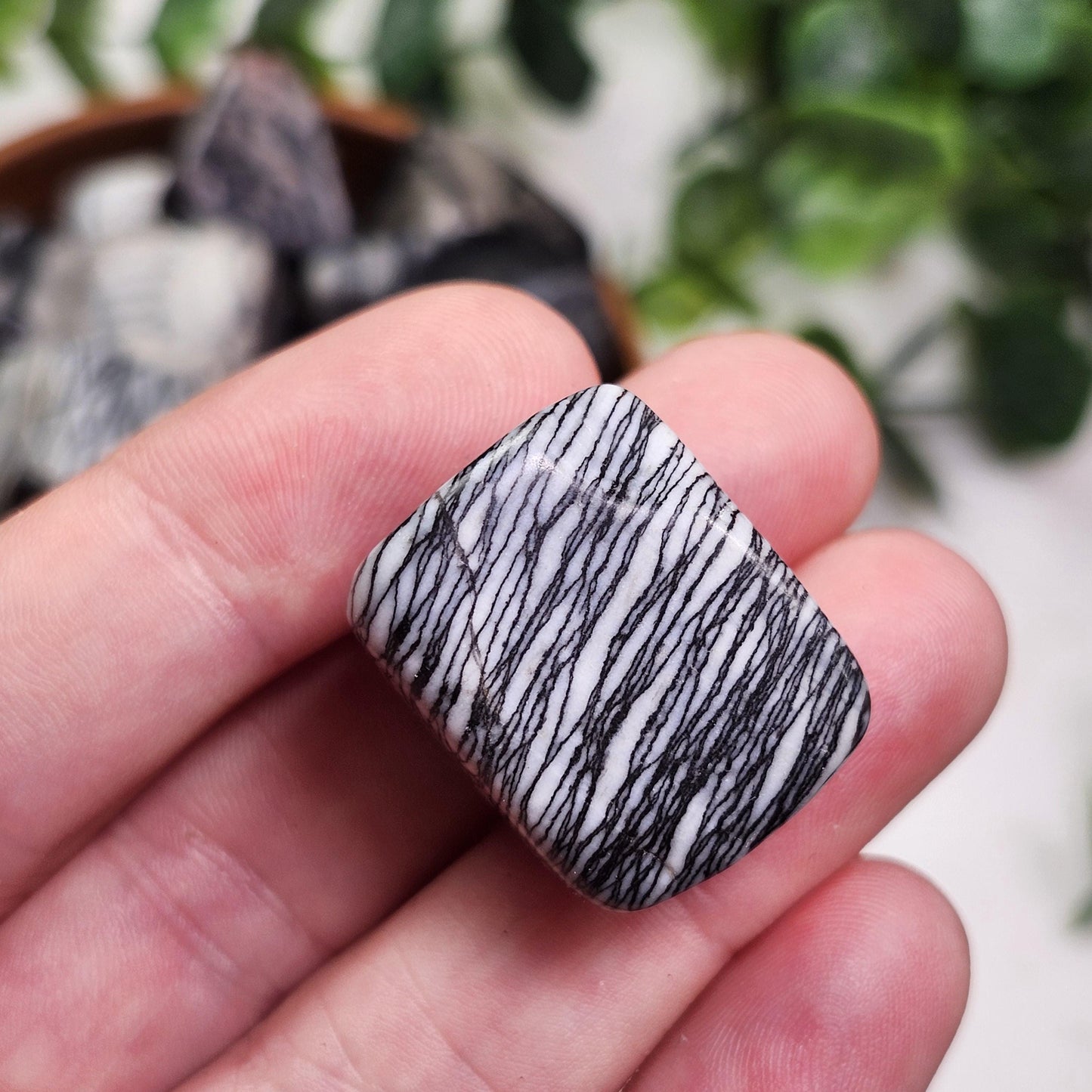 Spider Web Jasper Crystal