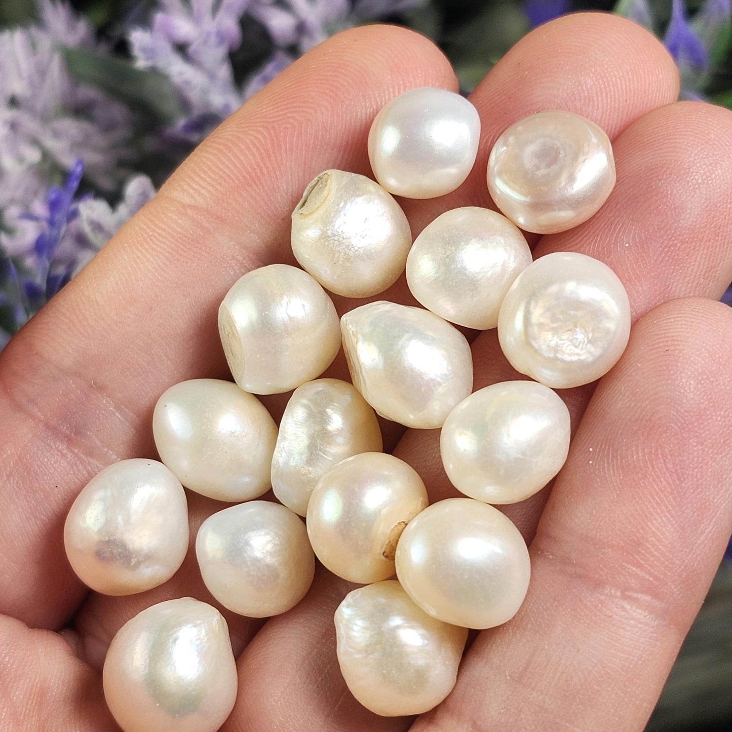 Natural Pearl