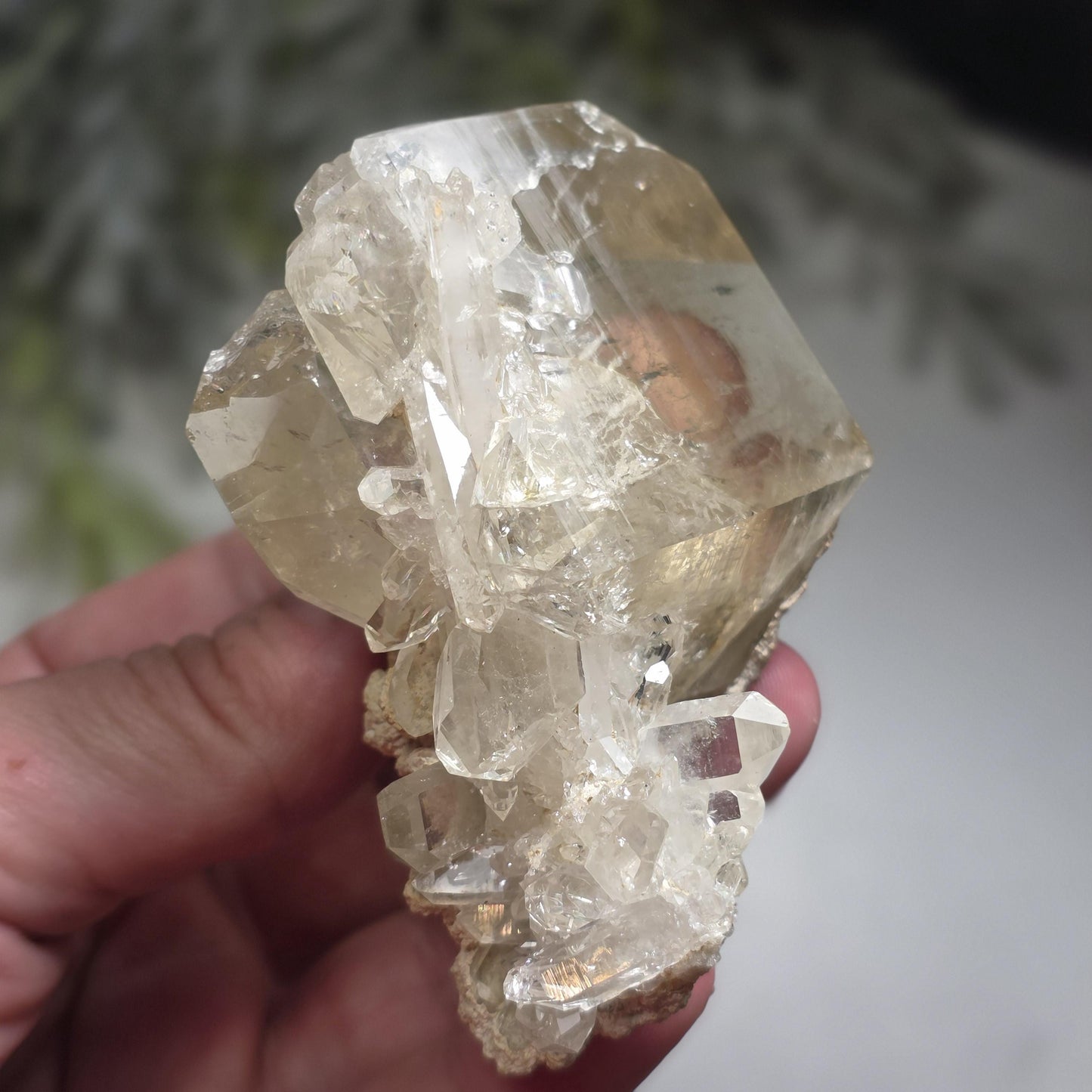 MANIFESTATION Tabular Himalayan Quartz