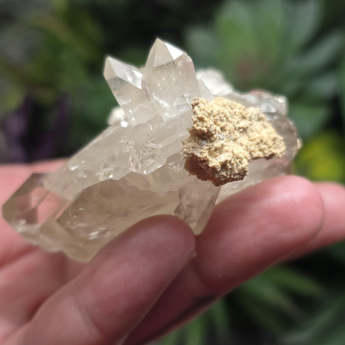 Twin MANIFESTATION Himalayan Quartz