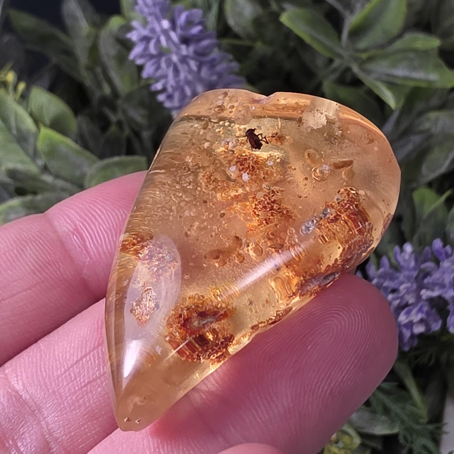 Amber with Bugs & Static ENHYDRO