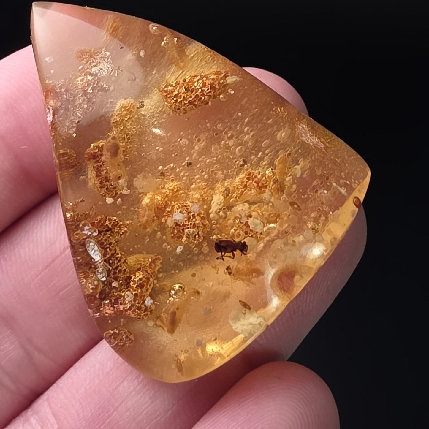 Amber with Bugs & Static ENHYDRO
