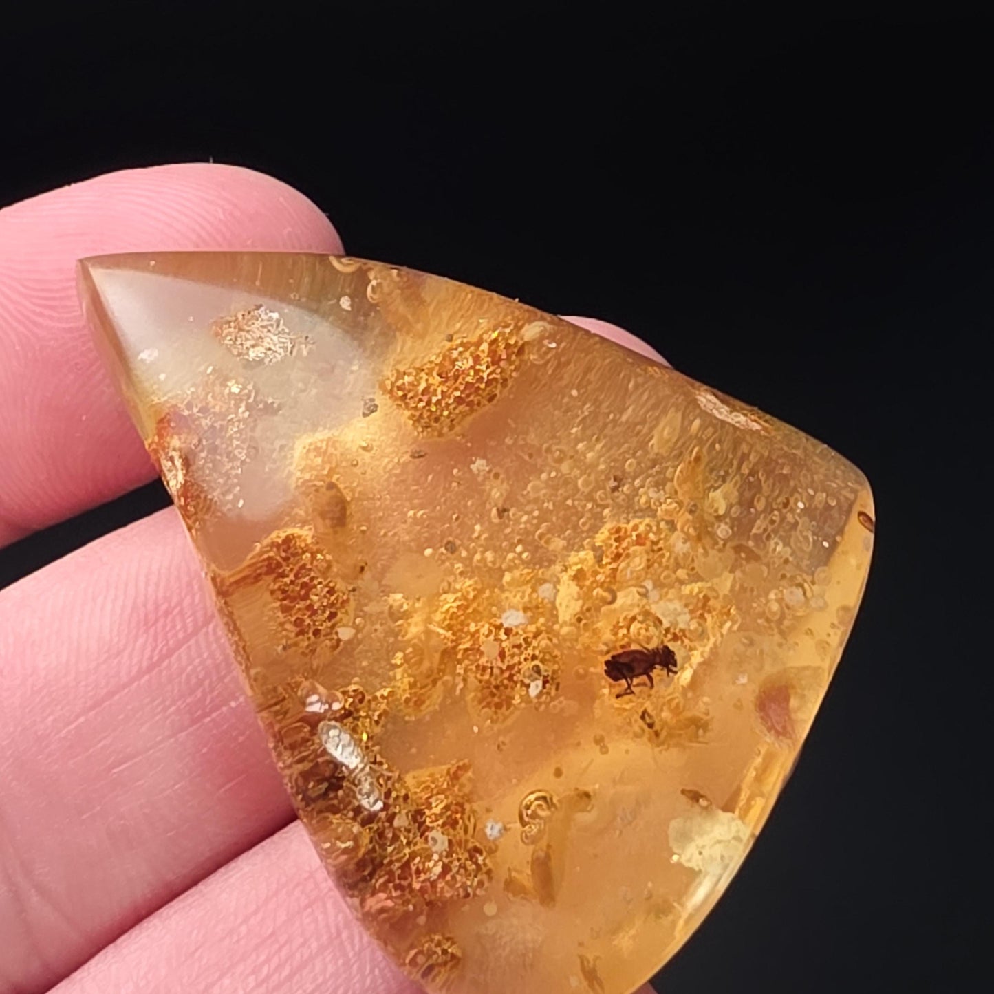 Amber with Bugs & Static ENHYDRO