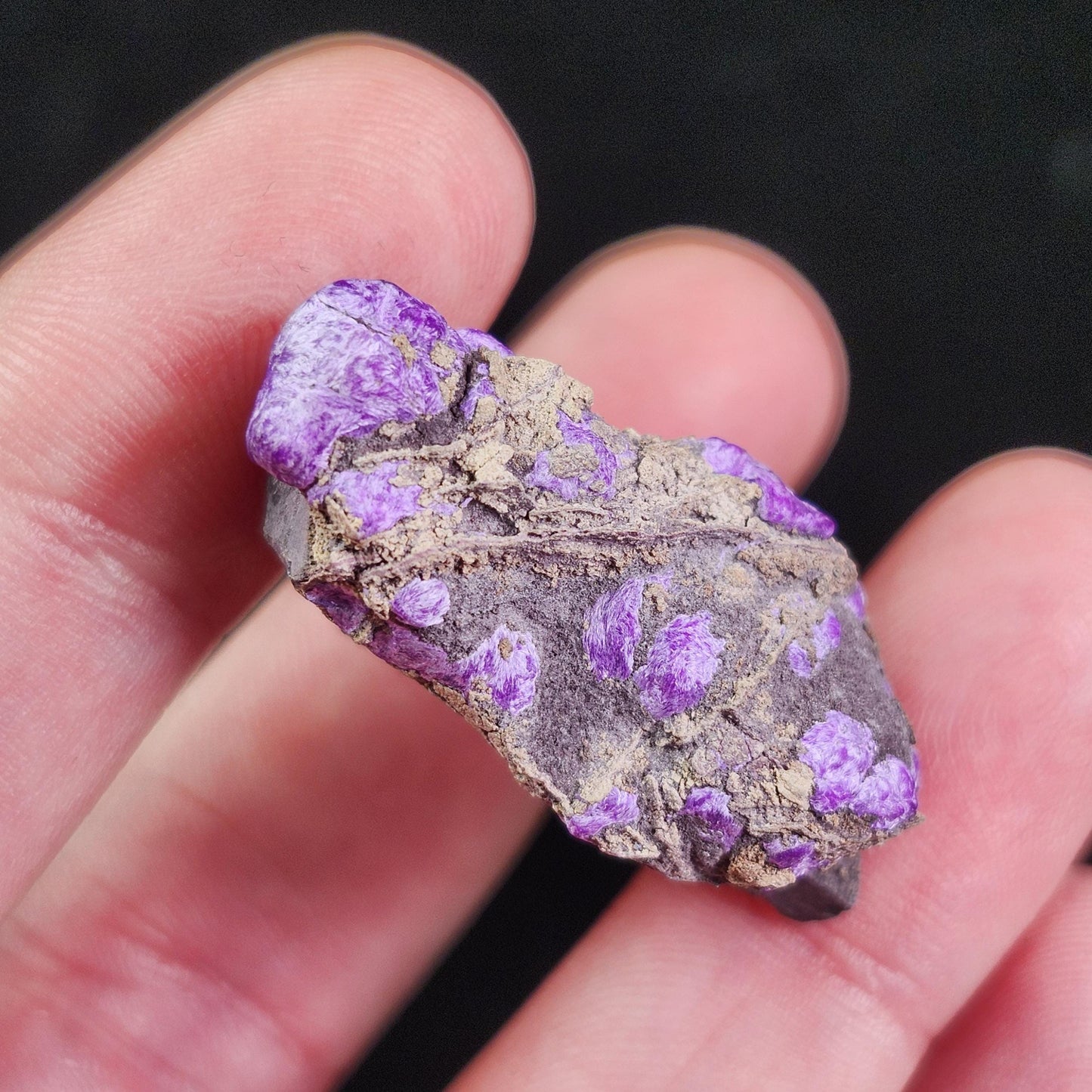 Fibrous Sugilite