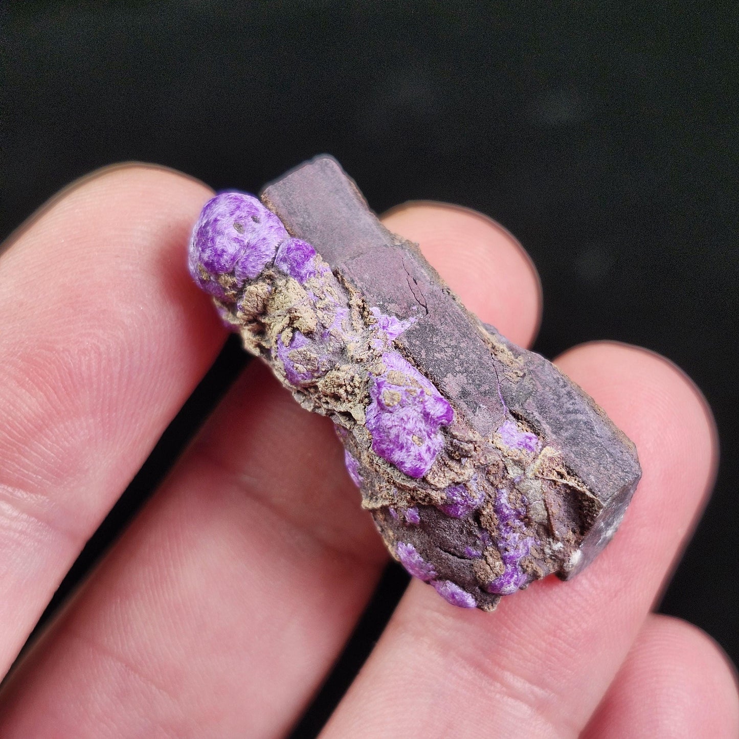 Fibrous Sugilite