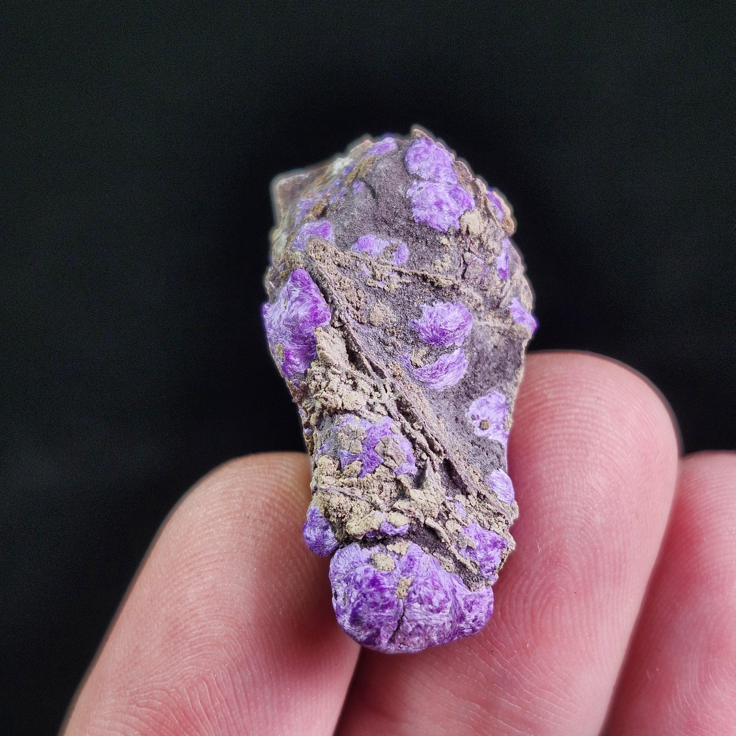 Fibrous Sugilite