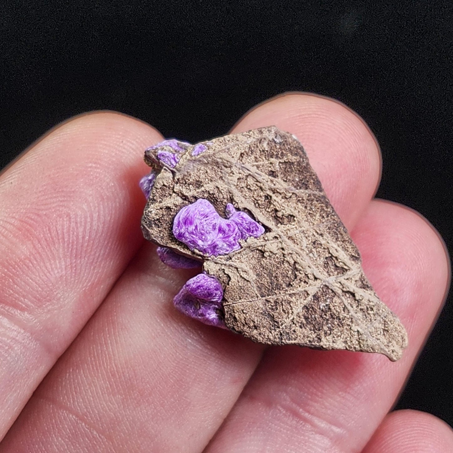 Fibrous Sugilite