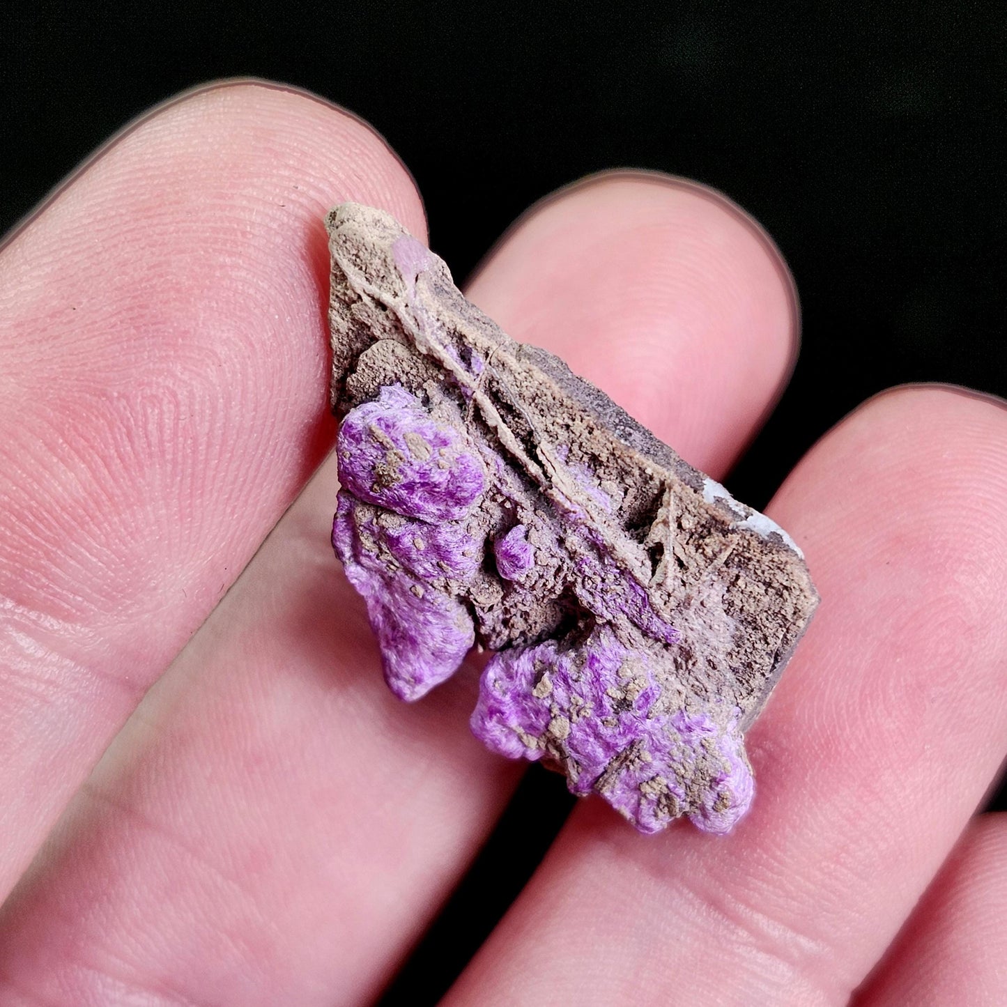 Fibrous Sugilite