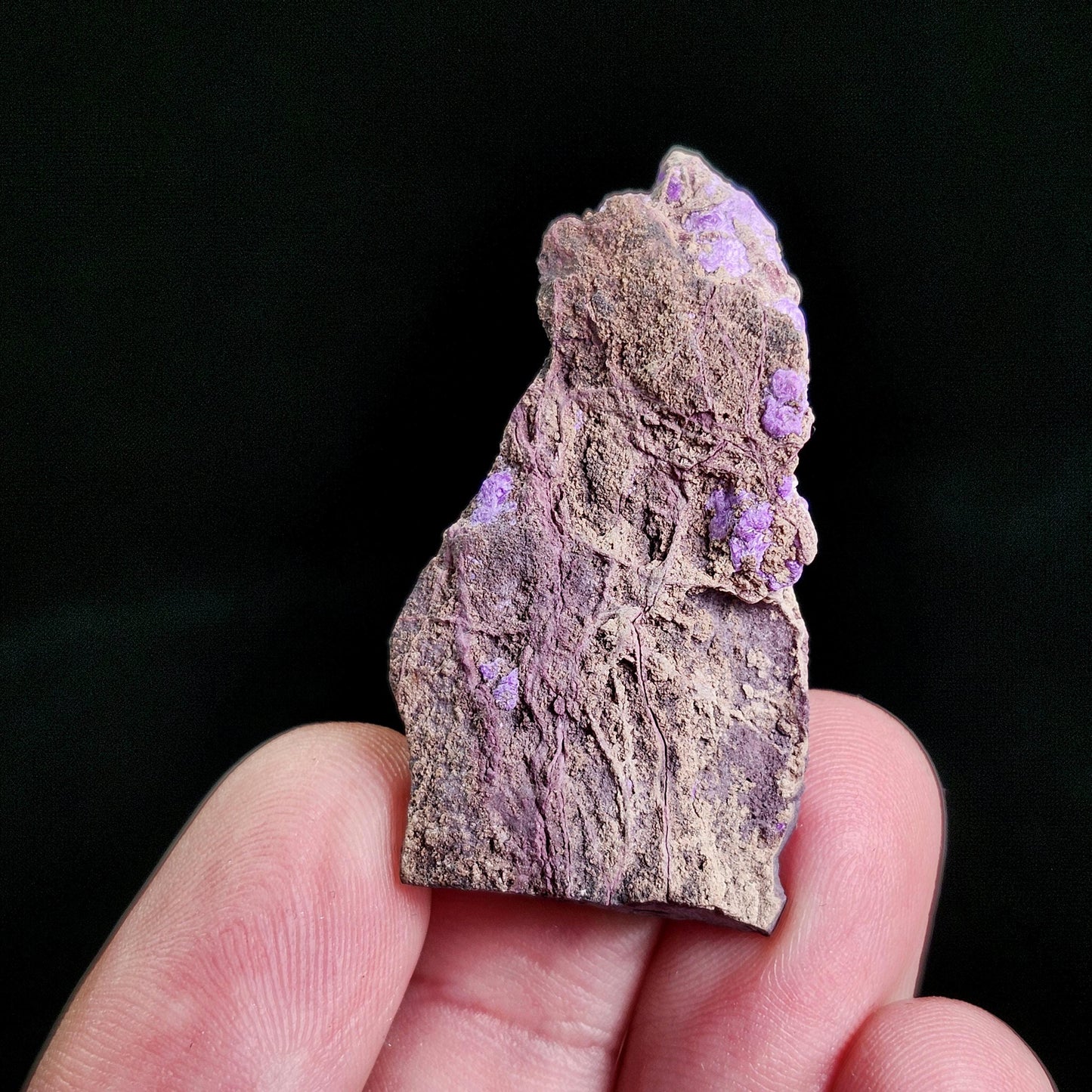 Fibrous Sugilite