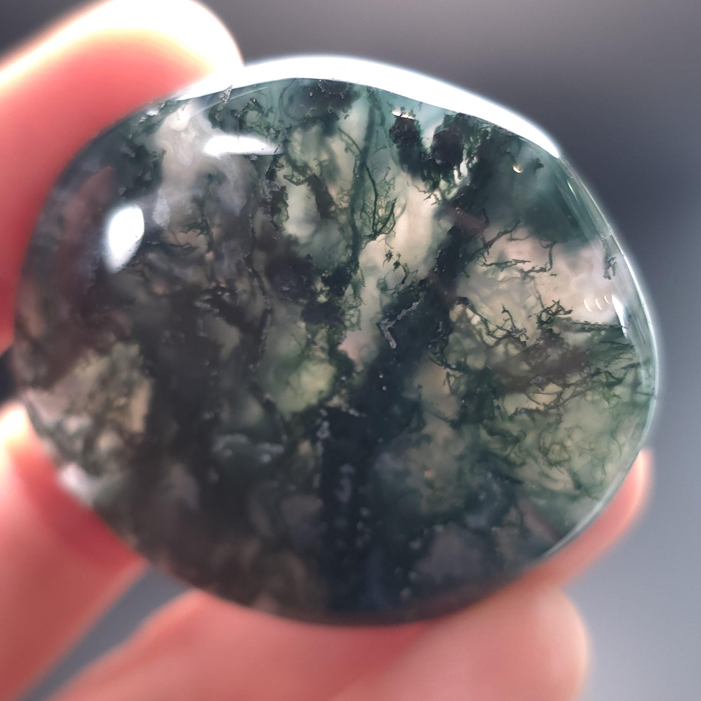Moss Agate Palm Stone