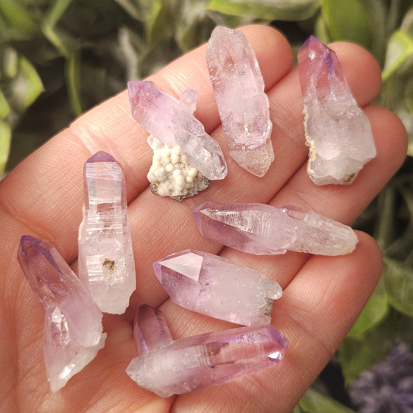 Vera Cruz Amethyst
