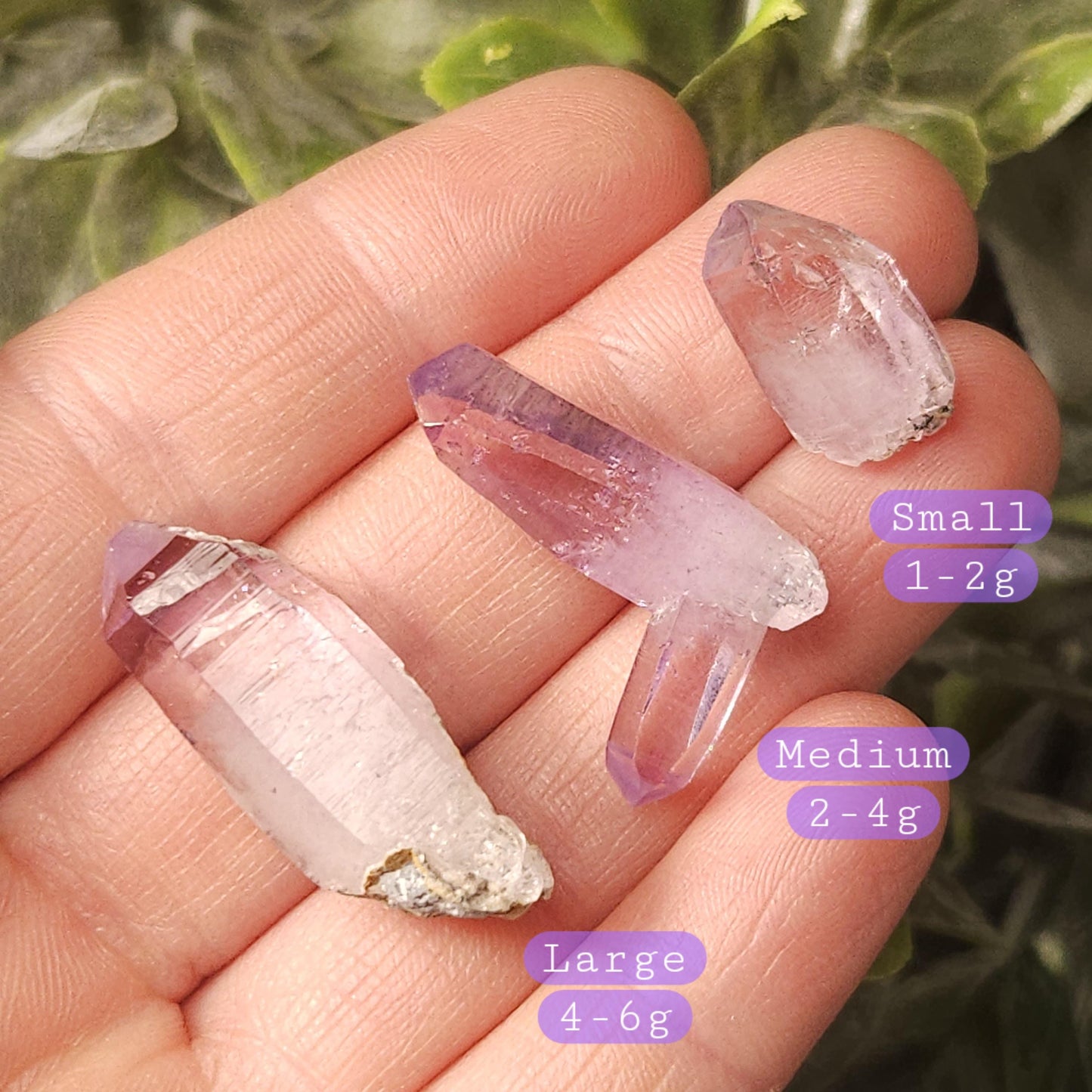 Vera Cruz Amethyst