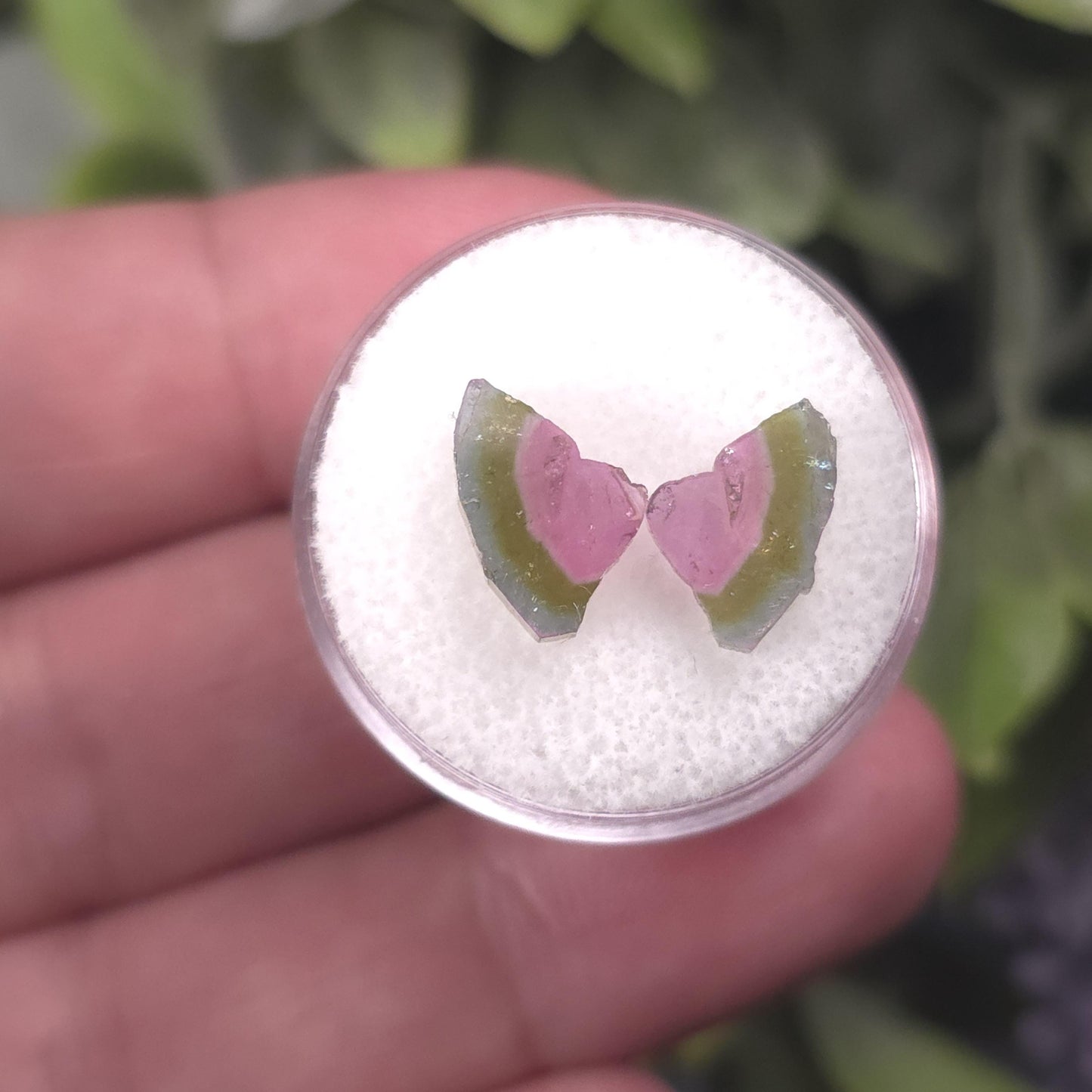 Watermelon Tourmaline Butterfly
