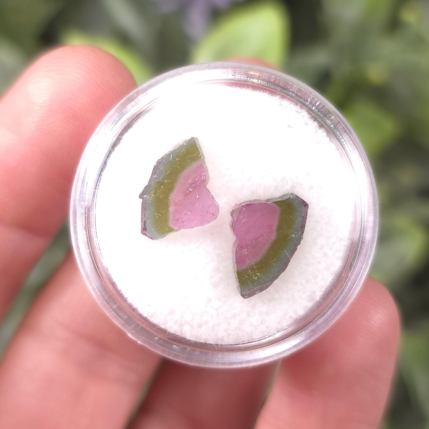 Watermelon Tourmaline Butterfly