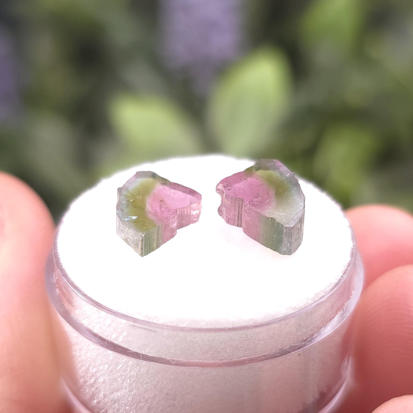 Watermelon Tourmaline Butterfly