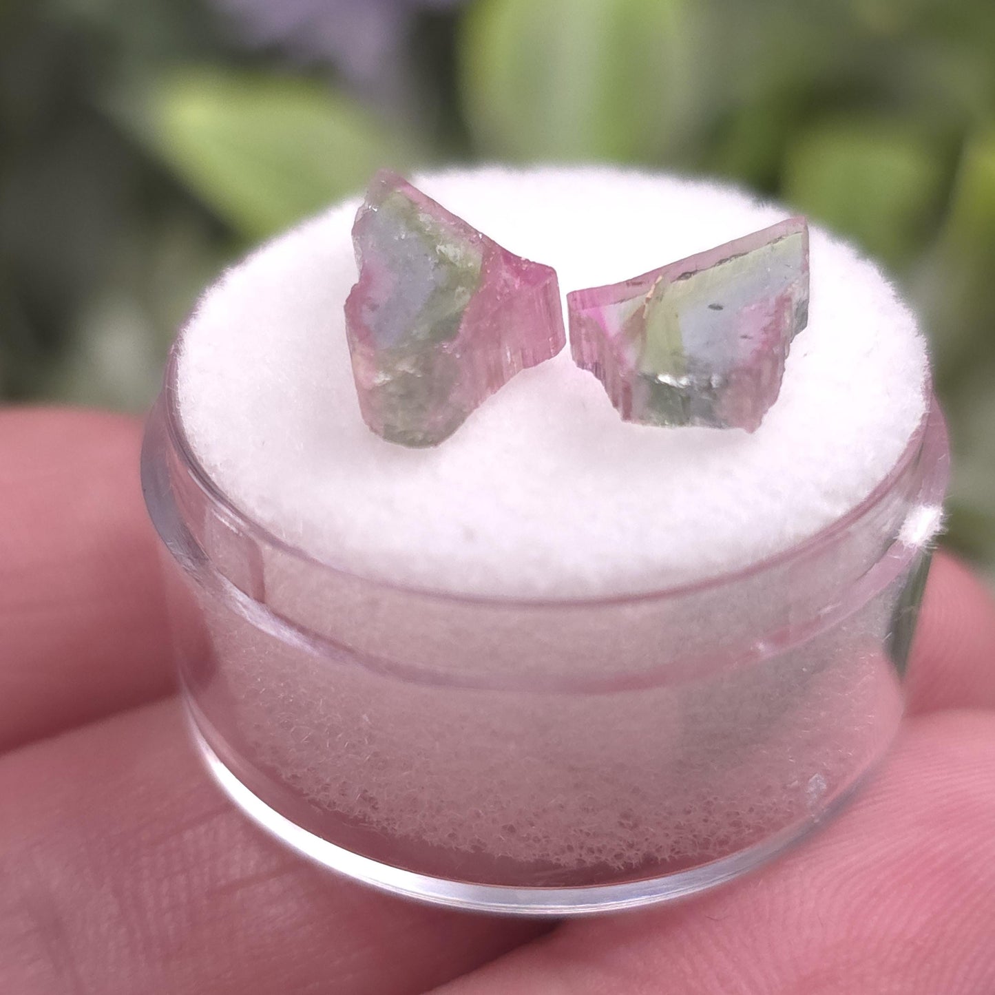 Watermelon Tourmaline Butterfly