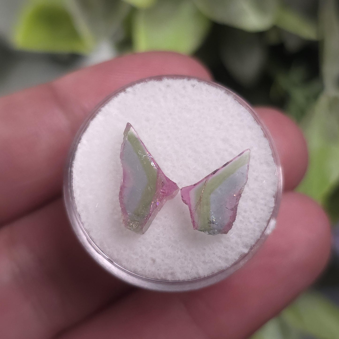 Watermelon Tourmaline Butterfly