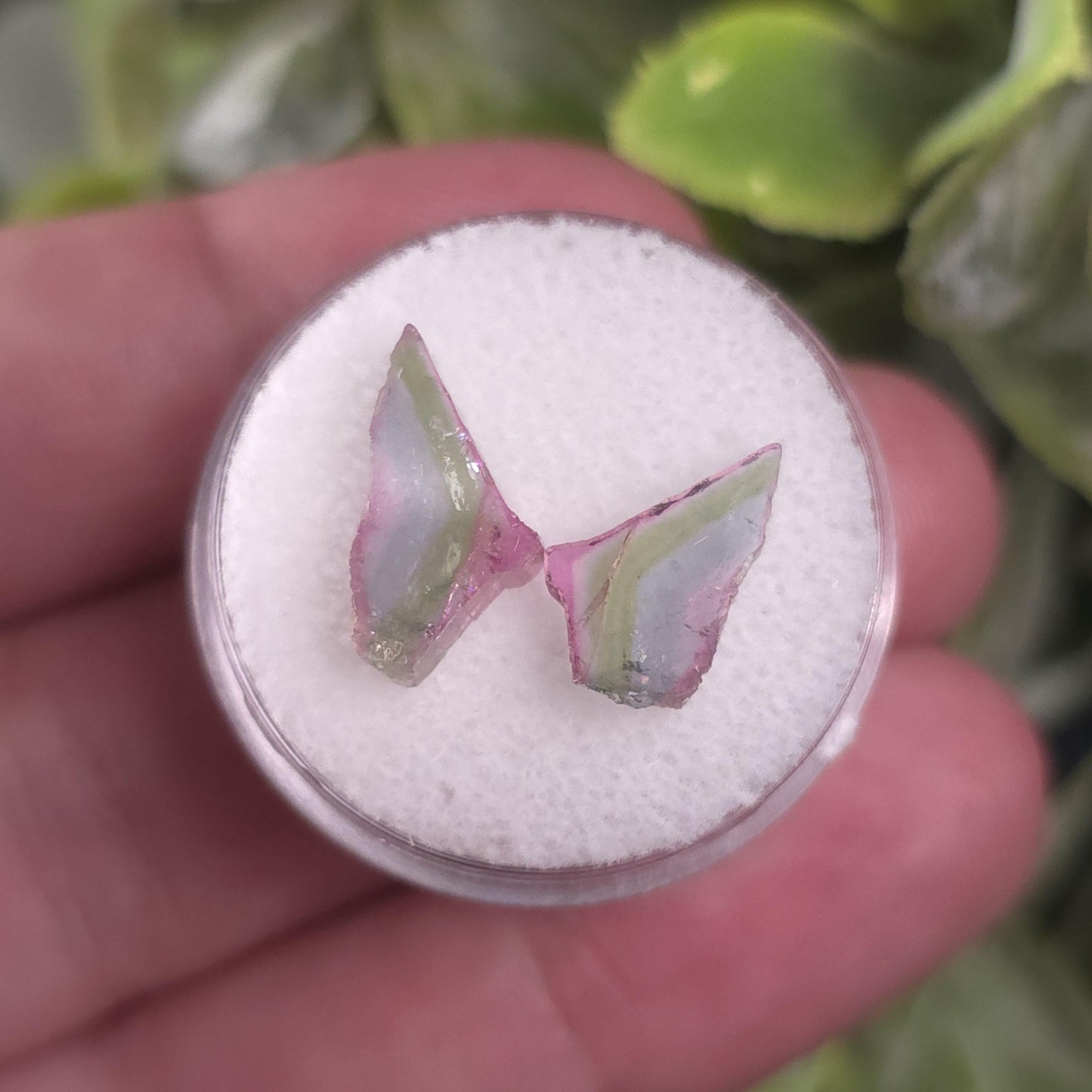 Watermelon Tourmaline Butterfly