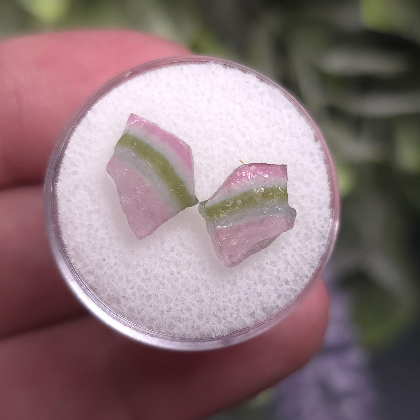 Watermelon Tourmaline Slices