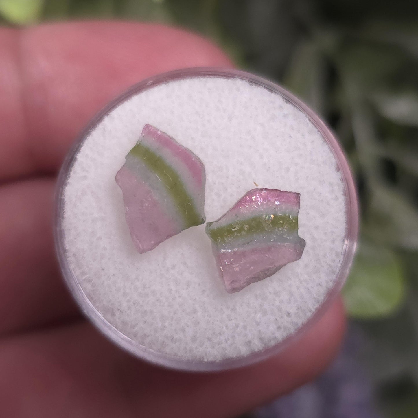 Watermelon Tourmaline Slices