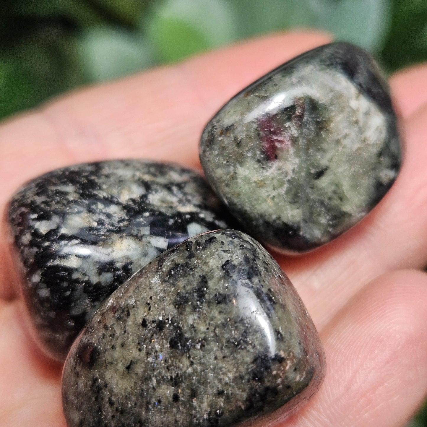 Eudialyte Crystal / Polished Eudialyte / Tumbled Eudialyte / Eudialyte Stone / UV Reactive / Rare Crystal / Polished Crystal / Heart Chakra