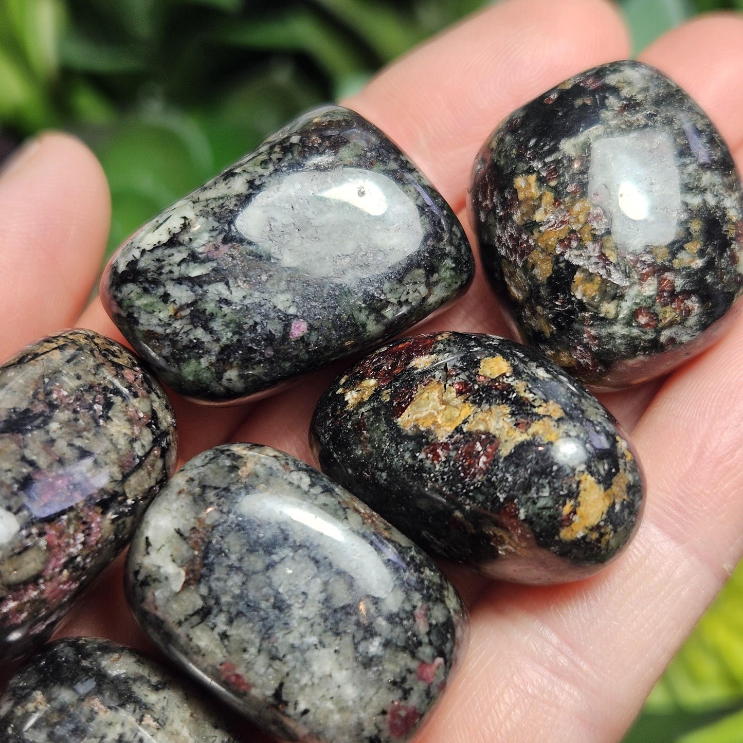Eudialyte Crystal / Polished Eudialyte / Tumbled Eudialyte / Eudialyte Stone / UV Reactive / Rare Crystal / Polished Crystal / Heart Chakra